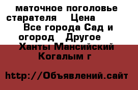 маточное поголовье старателя  › Цена ­ 3 700 - Все города Сад и огород » Другое   . Ханты-Мансийский,Когалым г.